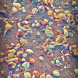 shells-costa-rica-beach-ocean-tamarindo-photos-art