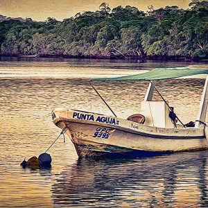 costa-rica-boat-punta-aguja-bay-fishing-poto-art